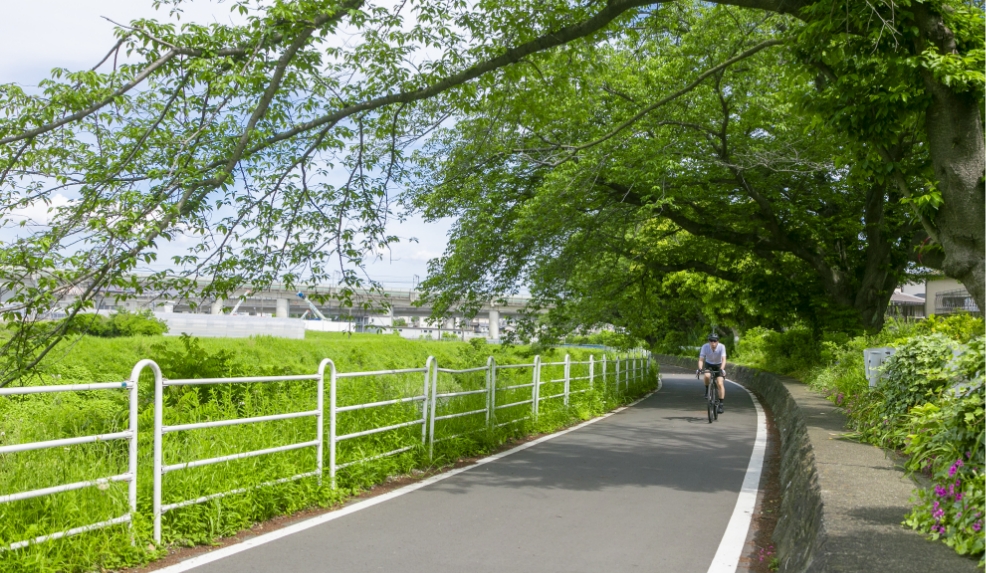 境川サイクリングロード