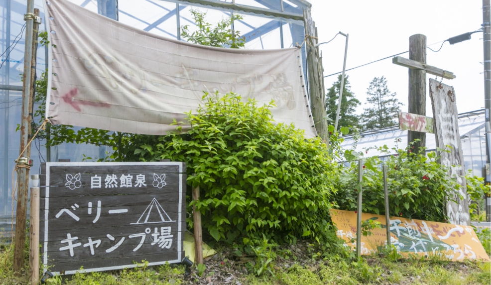 自然館泉ベリーキャンプ