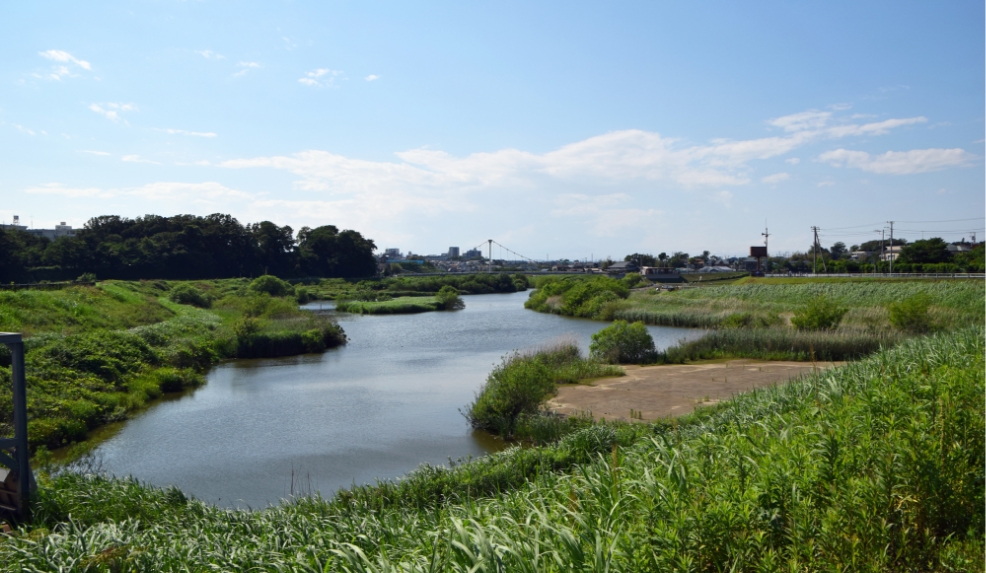 境川遊水池公園